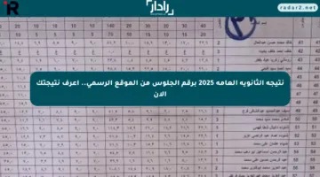 نتيجة الثانوية العامة 2025 برقم الجلوس من الموقع الرسمي.. اعرف نتيجتك الآن